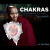 Chakras: Os Segredos Dos Yogis (Curso Avançado)