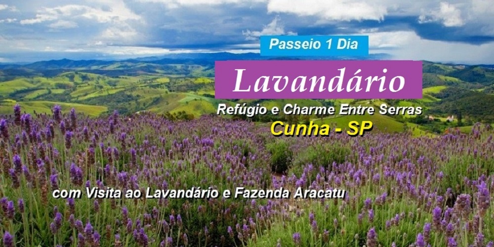 Passeio 1 Dia – Lavandário – Cunha – SP – 15 de Maio – Domingo