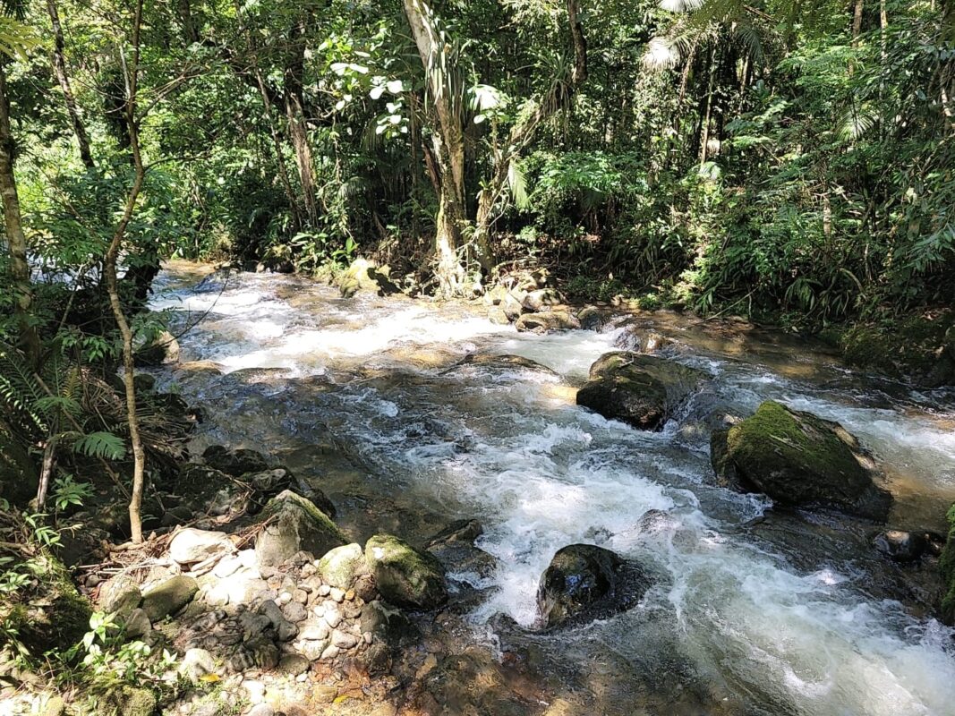 Foto de Fazenda Nova Gokula, Pindamonhangaba: Um pedacinho da